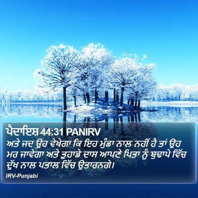 ਪੈਦਾਇਸ਼ 44:31 PANIRV Bible Verse Image