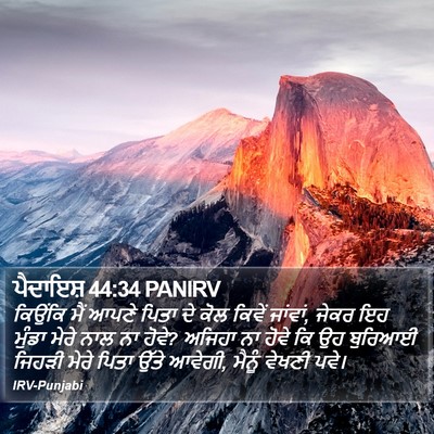 ਪੈਦਾਇਸ਼ 44:34 PANIRV Bible Verse Image