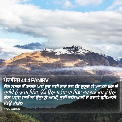 ਪੈਦਾਇਸ਼ 44:4 PANIRV Bible Verse Image