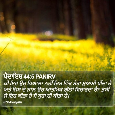 ਪੈਦਾਇਸ਼ 44:5 PANIRV Bible Verse Image