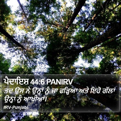 ਪੈਦਾਇਸ਼ 44:6 PANIRV Bible Verse Image
