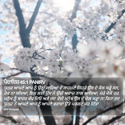 ਪੈਦਾਇਸ਼ 45:1 PANIRV Bible Verse Image