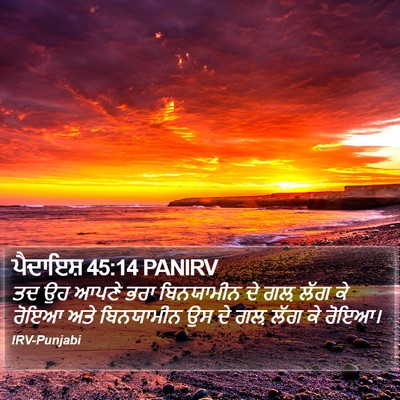 ਪੈਦਾਇਸ਼ 45:14 PANIRV Bible Verse Image