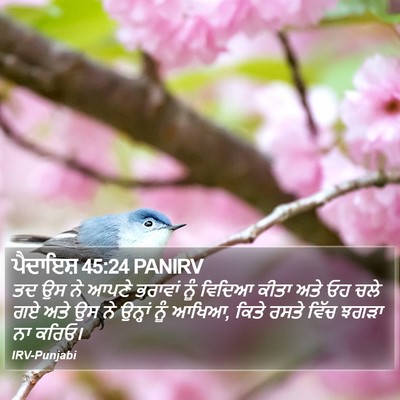 ਪੈਦਾਇਸ਼ 45:24 PANIRV Bible Verse Image
