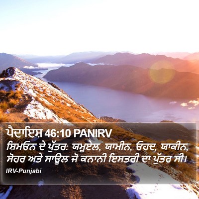 ਪੈਦਾਇਸ਼ 46:10 PANIRV Bible Verse Image