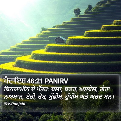 ਪੈਦਾਇਸ਼ 46:21 PANIRV Bible Verse Image