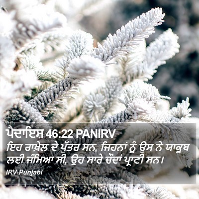 ਪੈਦਾਇਸ਼ 46:22 PANIRV Bible Verse Image