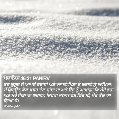 ਪੈਦਾਇਸ਼ 46:31 PANIRV Bible Verse Image
