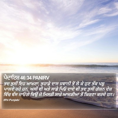 ਪੈਦਾਇਸ਼ 46:34 PANIRV Bible Verse Image