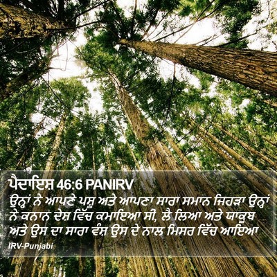 ਪੈਦਾਇਸ਼ 46:6 PANIRV Bible Verse Image