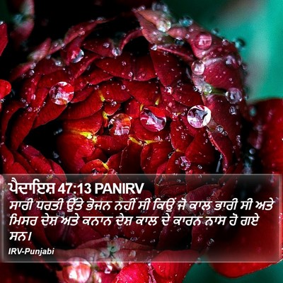 ਪੈਦਾਇਸ਼ 47:13 PANIRV Bible Verse Image