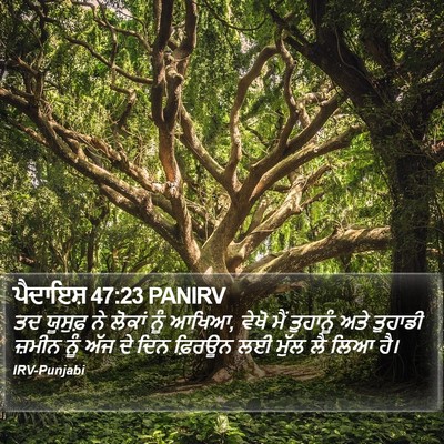 ਪੈਦਾਇਸ਼ 47:23 PANIRV Bible Verse Image