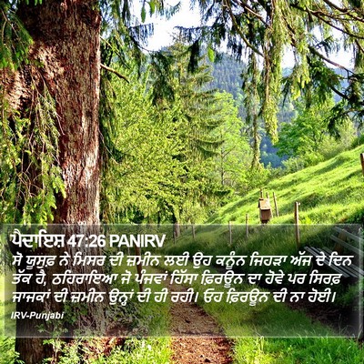 ਪੈਦਾਇਸ਼ 47:26 PANIRV Bible Verse Image