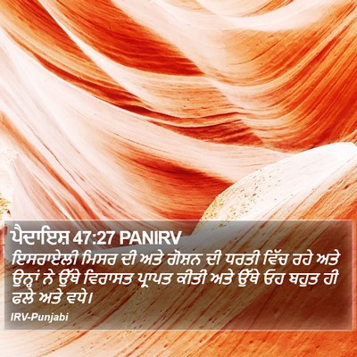 ਪੈਦਾਇਸ਼ 47:27 PANIRV Bible Verse Image