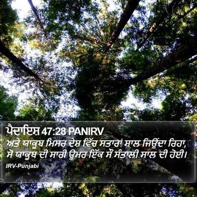 ਪੈਦਾਇਸ਼ 47:28 PANIRV Bible Verse Image