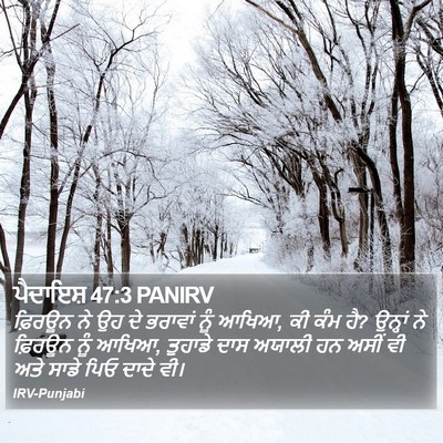 ਪੈਦਾਇਸ਼ 47:3 PANIRV Bible Verse Image