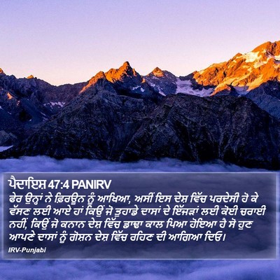 ਪੈਦਾਇਸ਼ 47:4 PANIRV Bible Verse Image