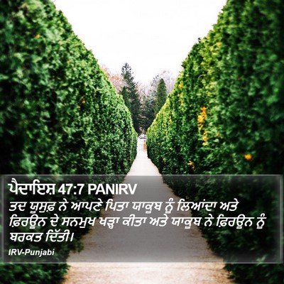 ਪੈਦਾਇਸ਼ 47:7 PANIRV Bible Verse Image