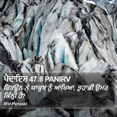 ਪੈਦਾਇਸ਼ 47:8 PANIRV Bible Verse Image