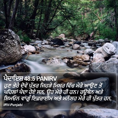 ਪੈਦਾਇਸ਼ 48:5 PANIRV Bible Verse Image