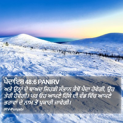 ਪੈਦਾਇਸ਼ 48:6 PANIRV Bible Verse Image