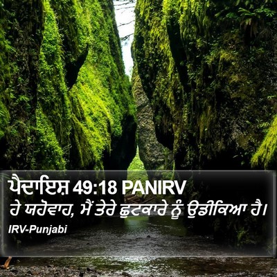 ਪੈਦਾਇਸ਼ 49:18 PANIRV Bible Verse Image