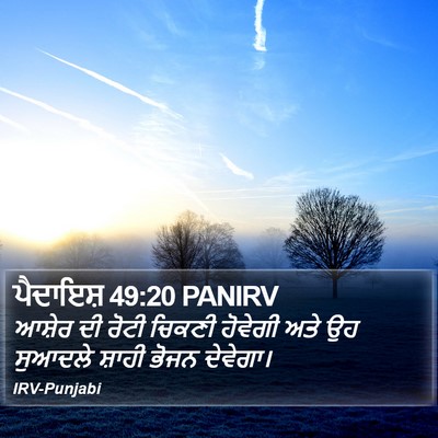 ਪੈਦਾਇਸ਼ 49:20 PANIRV Bible Verse Image