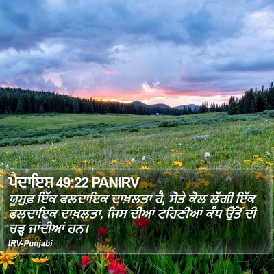 ਪੈਦਾਇਸ਼ 49:22 PANIRV Bible Verse Image
