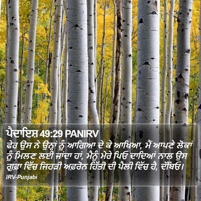 ਪੈਦਾਇਸ਼ 49:29 PANIRV Bible Verse Image