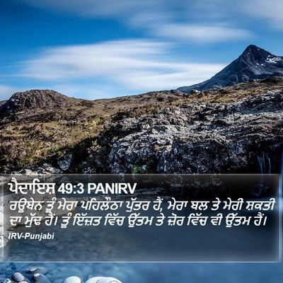 ਪੈਦਾਇਸ਼ 49:3 PANIRV Bible Verse Image