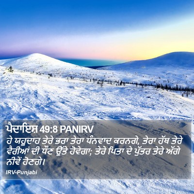 ਪੈਦਾਇਸ਼ 49:8 PANIRV Bible Verse Image