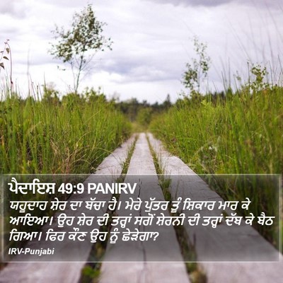 ਪੈਦਾਇਸ਼ 49:9 PANIRV Bible Verse Image