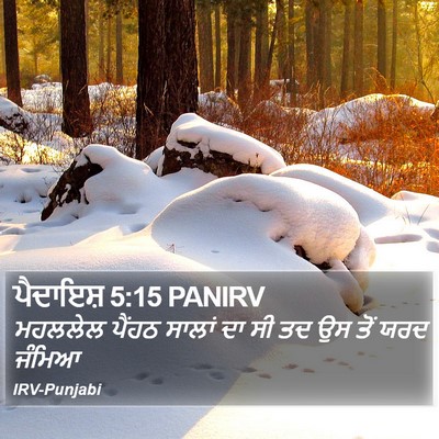 ਪੈਦਾਇਸ਼ 5:15 PANIRV Bible Verse Image