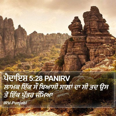 ਪੈਦਾਇਸ਼ 5:28 PANIRV Bible Verse Image