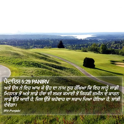 ਪੈਦਾਇਸ਼ 5:29 PANIRV Bible Verse Image