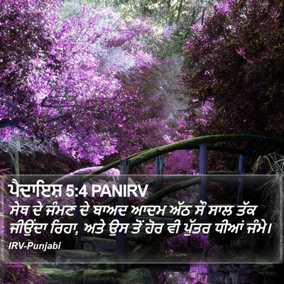 ਪੈਦਾਇਸ਼ 5:4 PANIRV Bible Verse Image