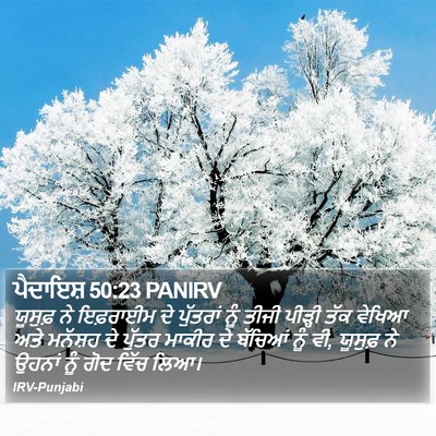 ਪੈਦਾਇਸ਼ 50:23 PANIRV Bible Verse Image