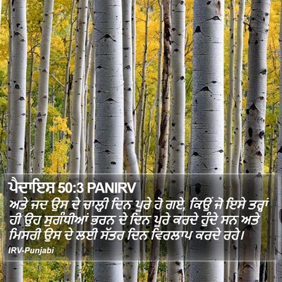 ਪੈਦਾਇਸ਼ 50:3 PANIRV Bible Verse Image