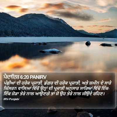 ਪੈਦਾਇਸ਼ 6:20 PANIRV Bible Verse Image