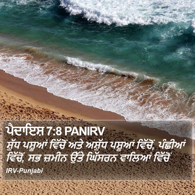 ਪੈਦਾਇਸ਼ 7:8 PANIRV Bible Verse Image