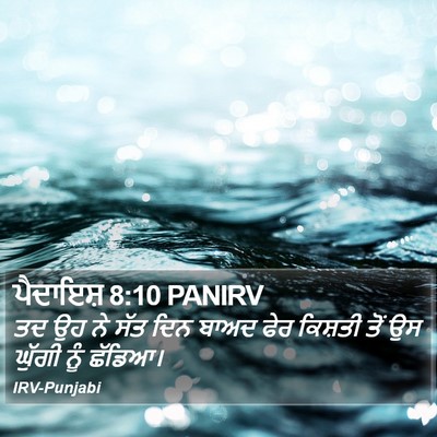 ਪੈਦਾਇਸ਼ 8:10 PANIRV Bible Verse Image