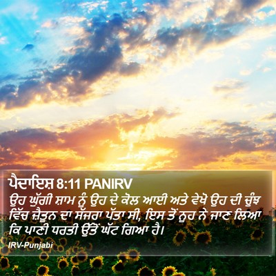 ਪੈਦਾਇਸ਼ 8:11 PANIRV Bible Verse Image
