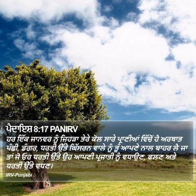 ਪੈਦਾਇਸ਼ 8:17 PANIRV Bible Verse Image