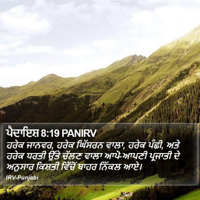 ਪੈਦਾਇਸ਼ 8:19 PANIRV Bible Verse Image