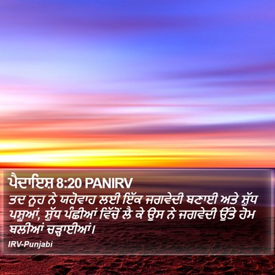 ਪੈਦਾਇਸ਼ 8:20 PANIRV Bible Verse Image