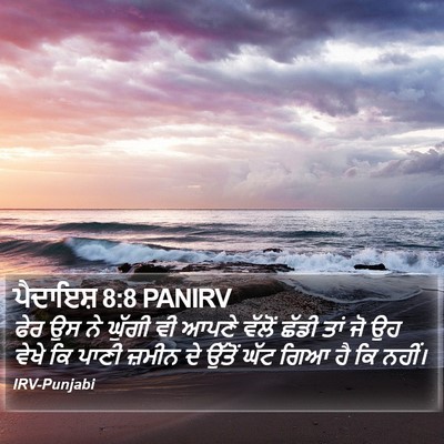 ਪੈਦਾਇਸ਼ 8:8 PANIRV Bible Verse Image