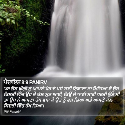 ਪੈਦਾਇਸ਼ 8:9 PANIRV Bible Verse Image