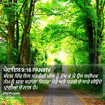 ਪੈਦਾਇਸ਼ 9:16 PANIRV Bible Verse Image