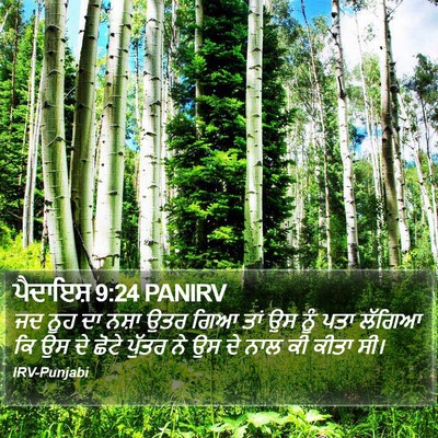 ਪੈਦਾਇਸ਼ 9:24 PANIRV Bible Verse Image