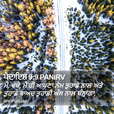 ਪੈਦਾਇਸ਼ 9:9 PANIRV Bible Verse Image
